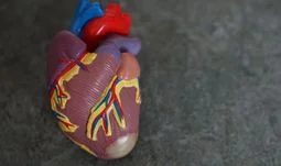 45 year-old compliance contractor's heart attack while working Sunday