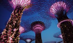 JP Morgan hires another Singapore quantum computing expert