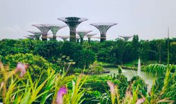 The surprisingly hot Singapore finance job for the Covid-19 era and beyond