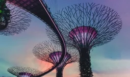 Singapore bonuses up 30% but bankers want to quit for crypto