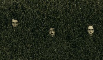 hedge fund faces in a bush 