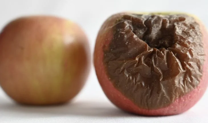 a rotten apple