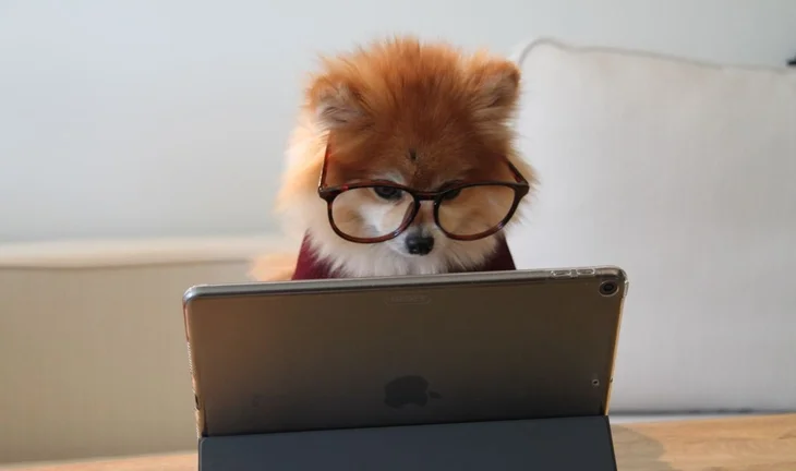 The only banks offering virtual internships this year?