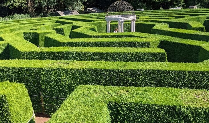 Hedge Maze