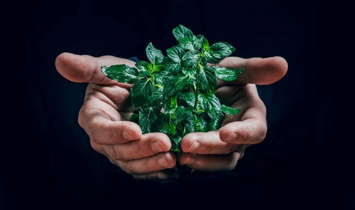 Are ESG internships the thing of the future?