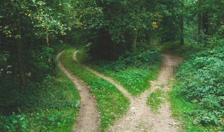 paths 