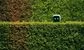 Hedge fund Millennium hires IBM Watson veteran to run machine learning